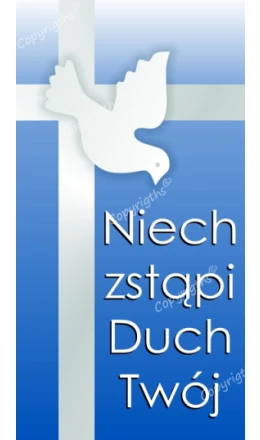 Baner Baner